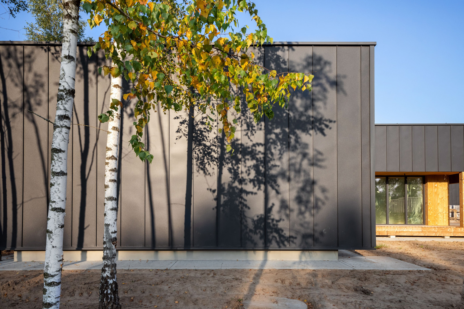 Parduodami namai Berzeliu g. Avizieniai