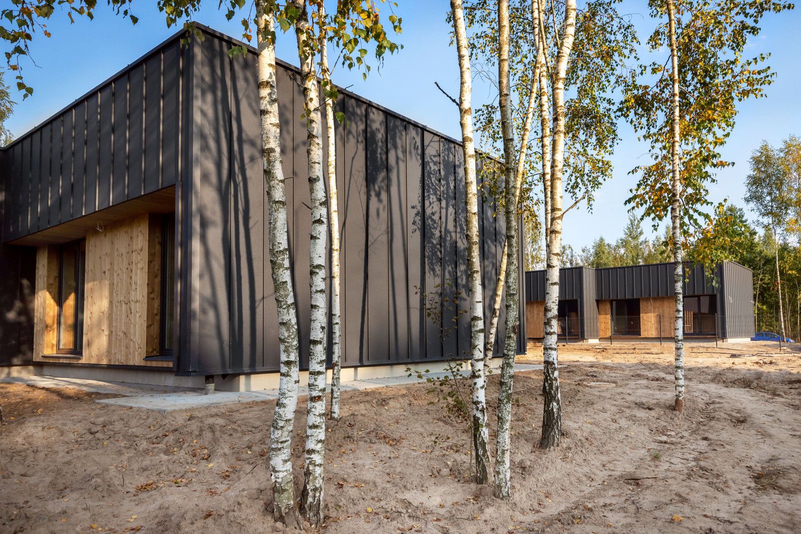 Parduodami namai Berzeliu g. Avizieniai