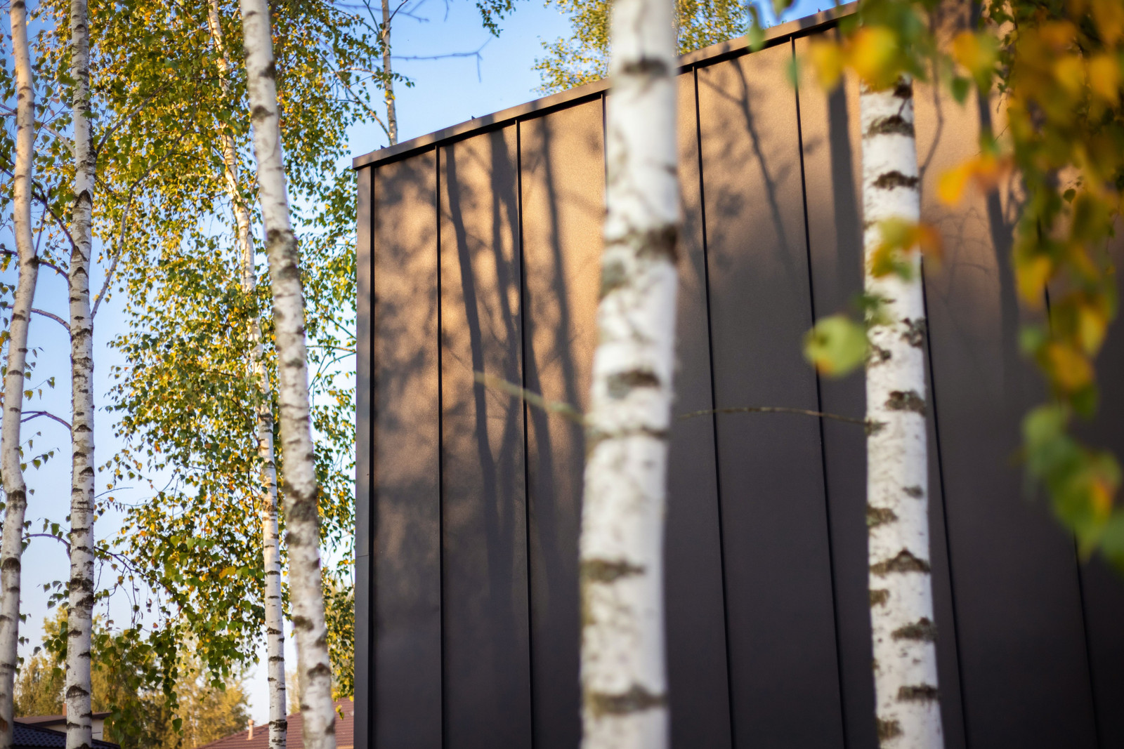 Parduodami namai Berzeliu g. Avizieniai