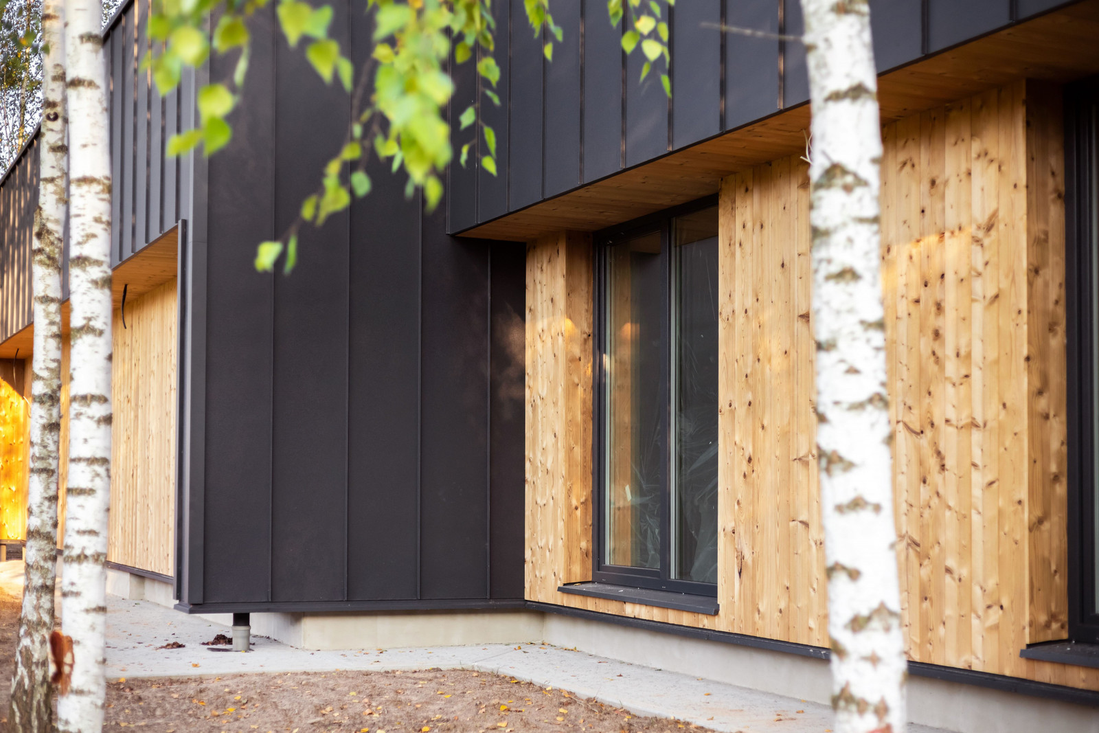 Parduodami namai Berzeliu g. Avizieniai