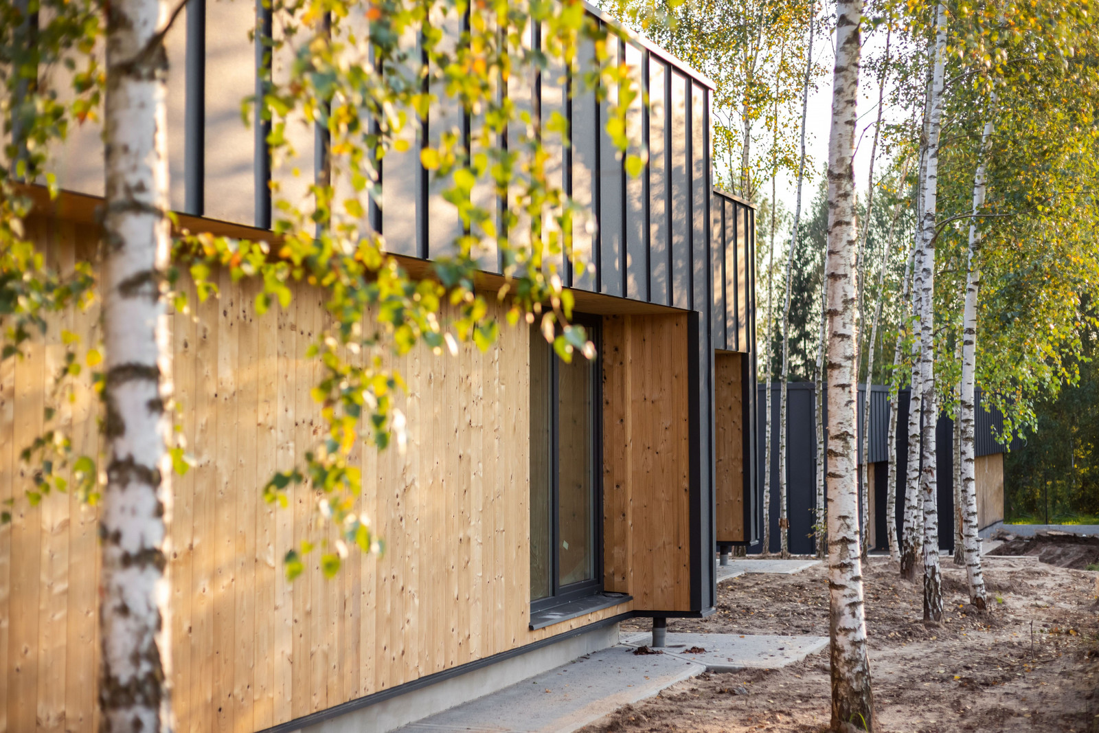 Parduodami namai Berzeliu g. Avizieniai