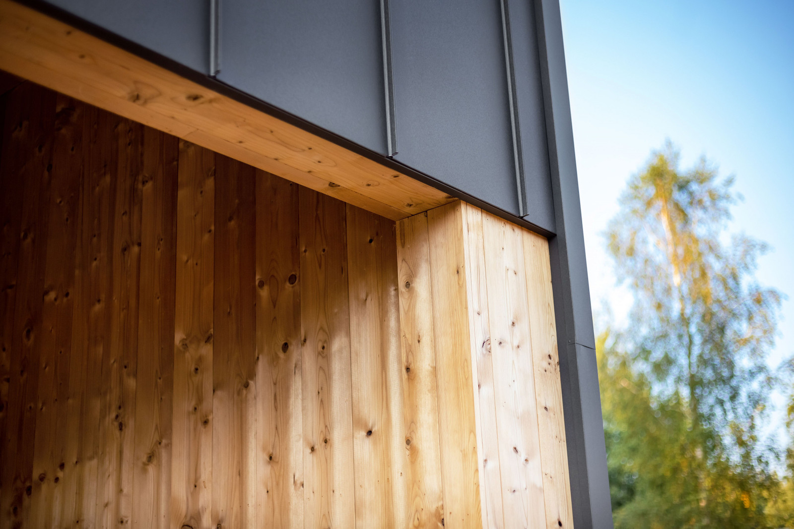 Parduodami namai Berzeliu g. Avizieniai