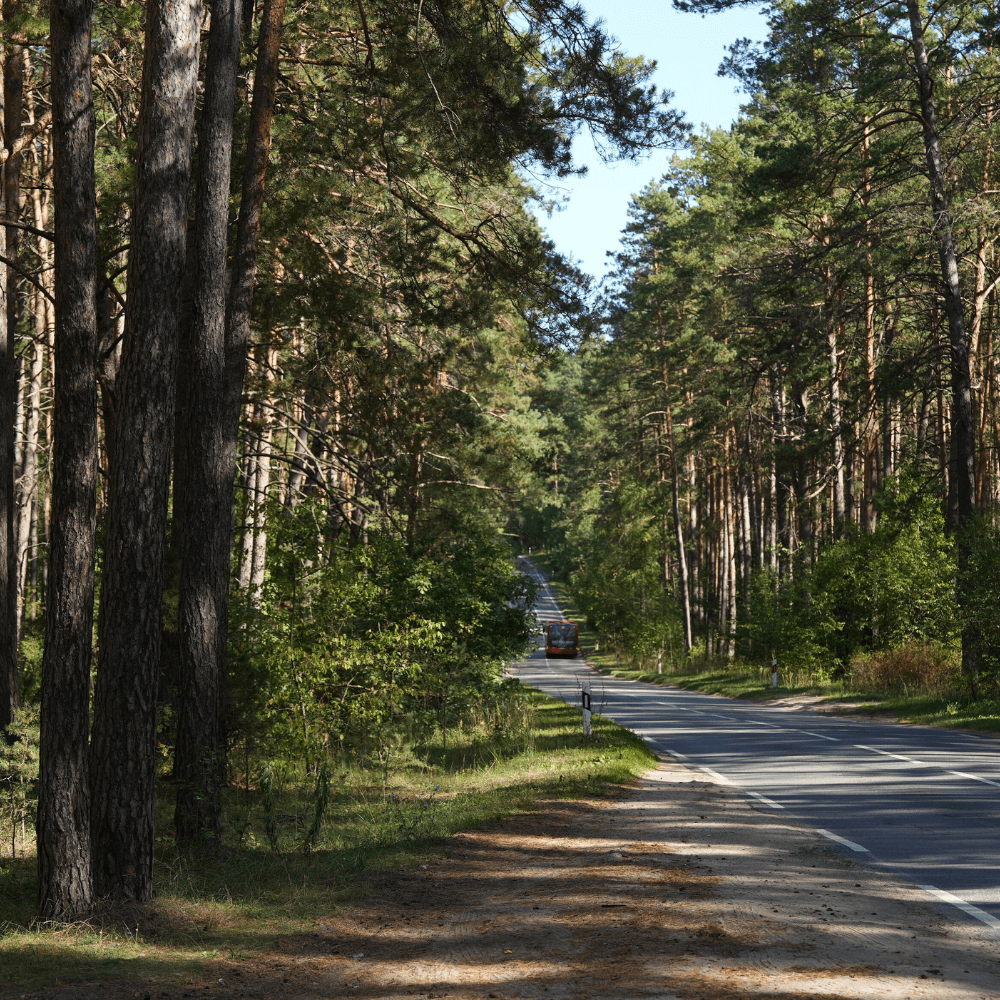 FORREST - nauji namai Vilniuje, Antakalnyje