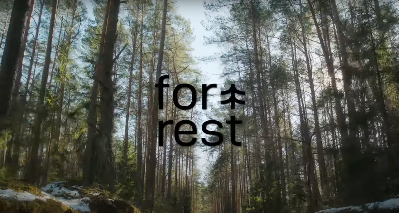 FORREST - nauji namai Vilniuje, Antakalnyje