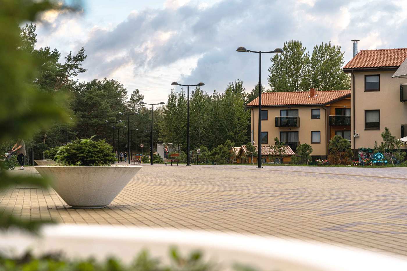 DP Photographyy-23 4