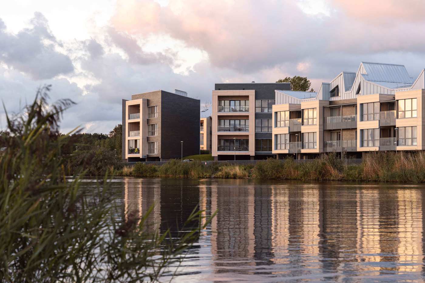 DP Photographyy-31 4