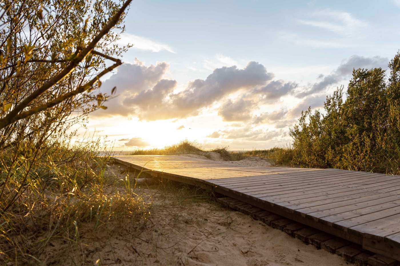 DP Photographyy-25 4