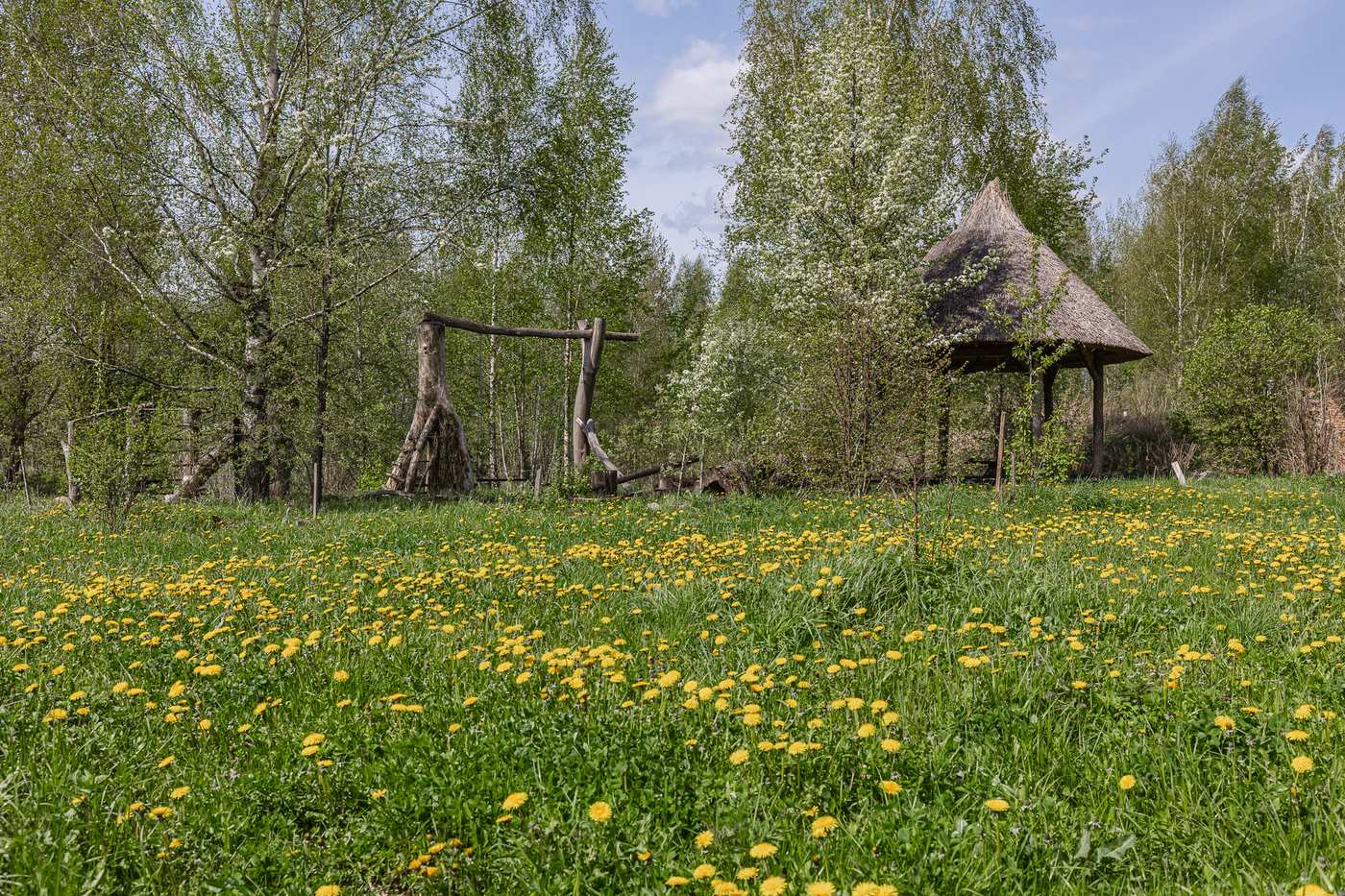 Nummo namas Krunai 038