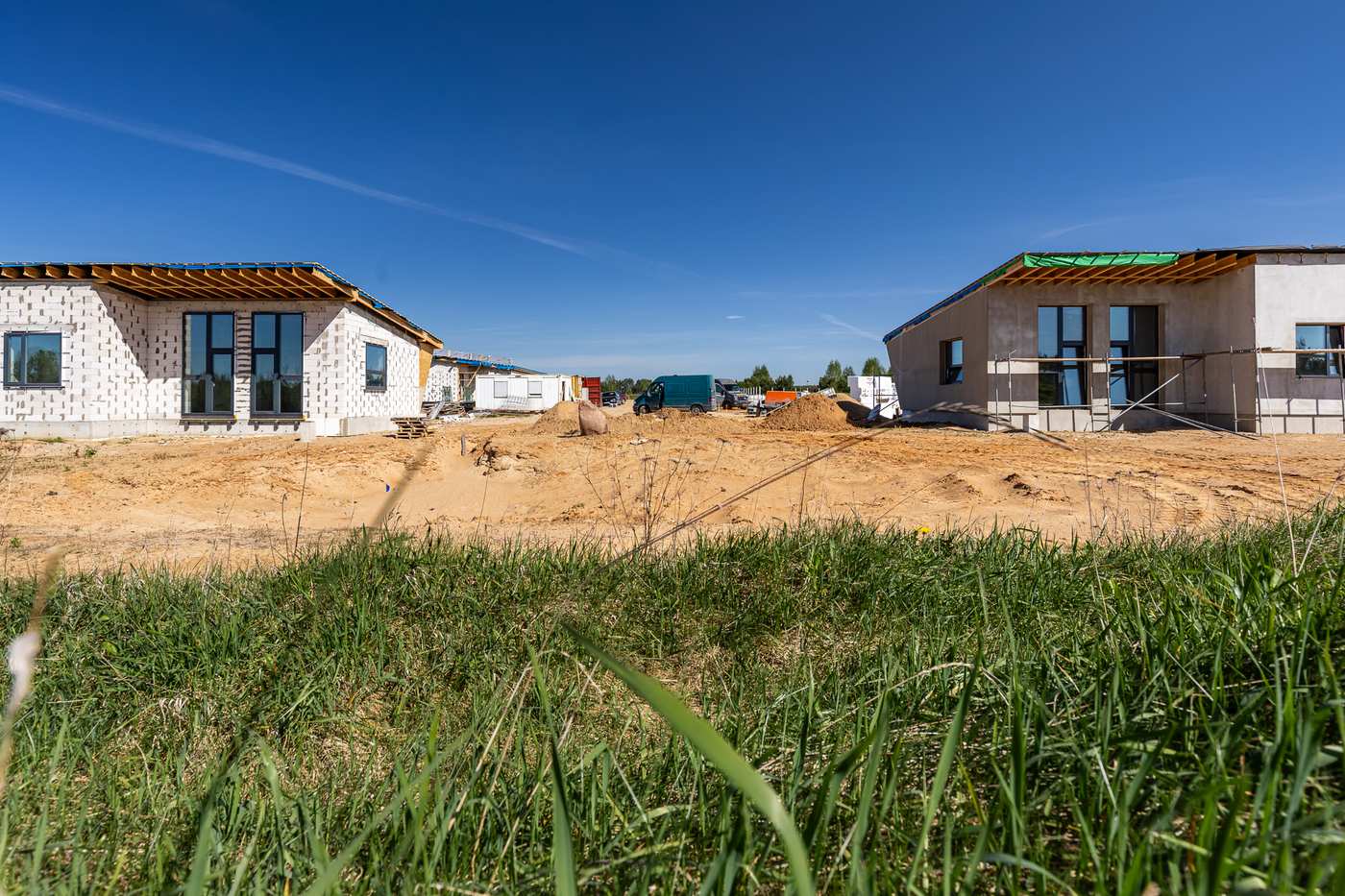 Peleniskes NUMMO 024