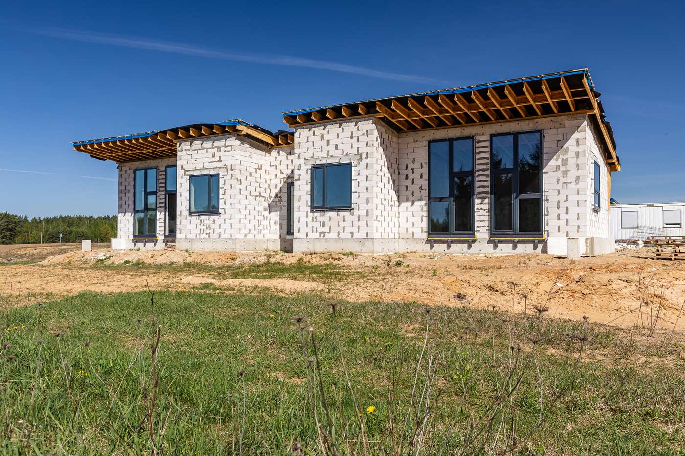 Peleniskes NUMMO 021