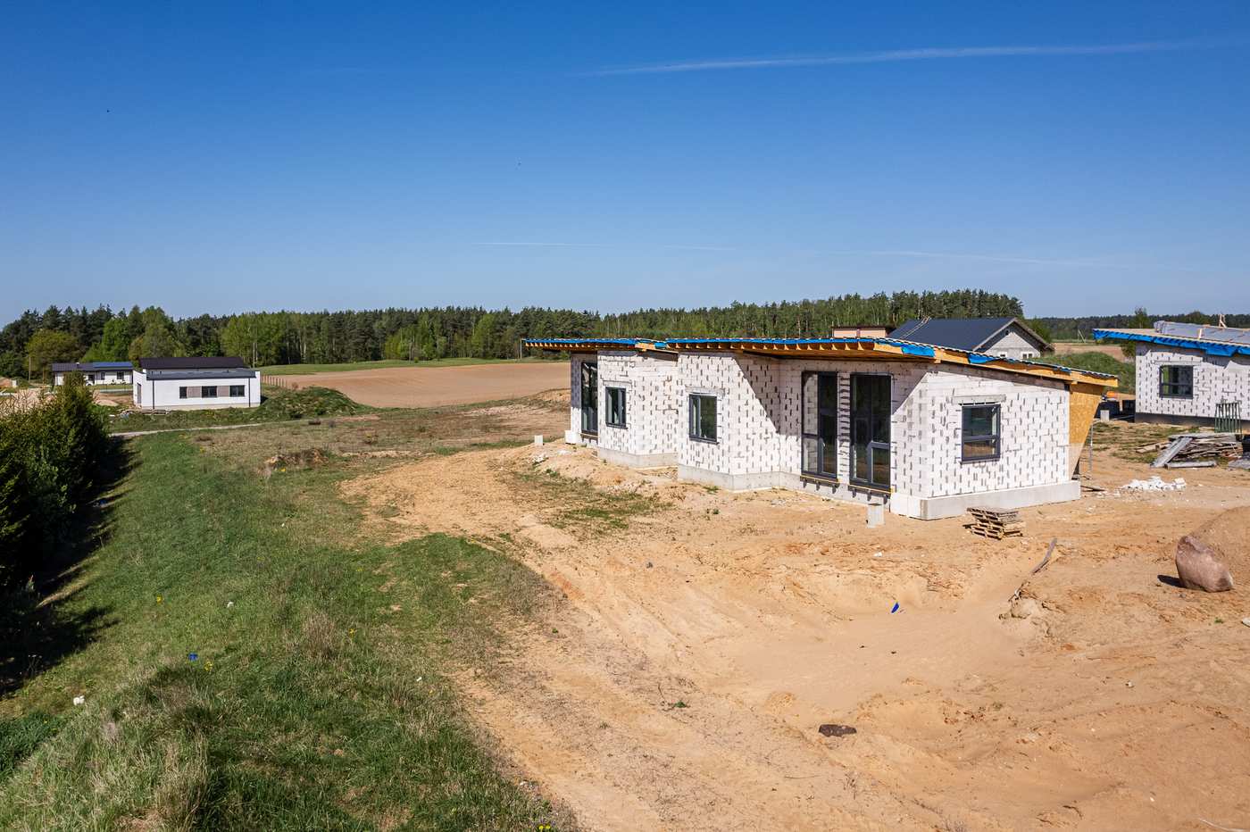 Peleniskes NUMMO 019