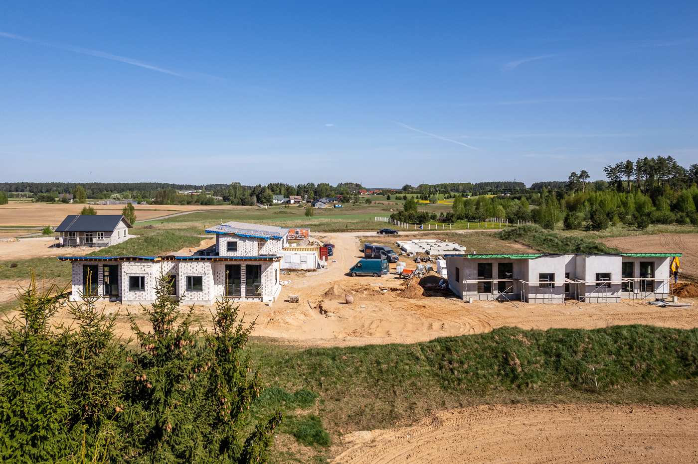 Peleniskes NUMMO 018