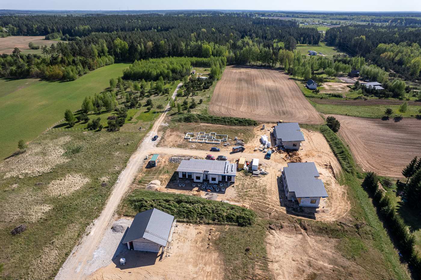 Peleniskes NUMMO 008