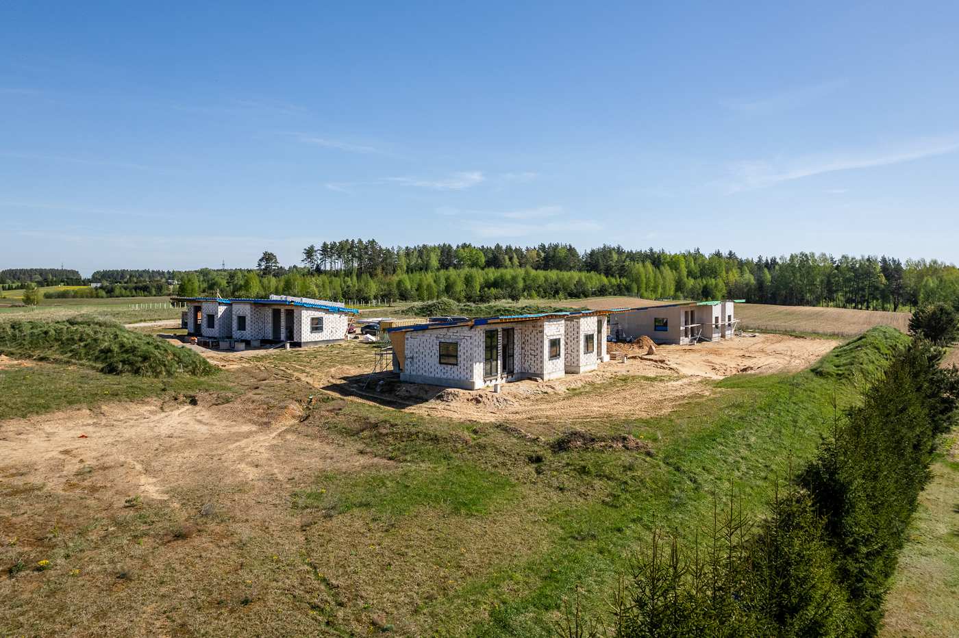 Peleniskes NUMMO 004