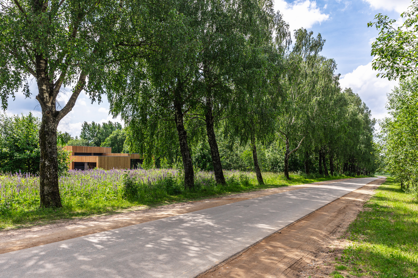 Numo Kolektyvo 035