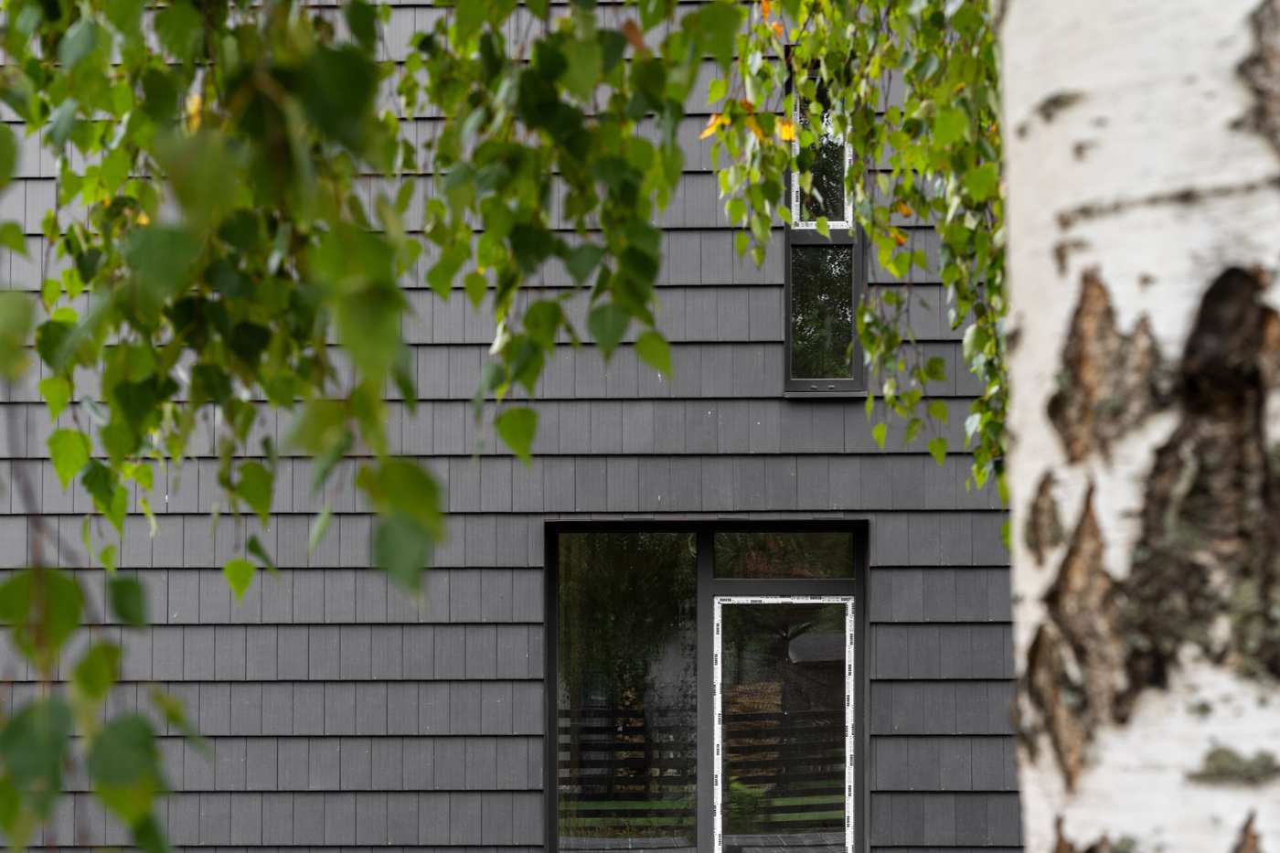 Forrest 08 (7 of 43)