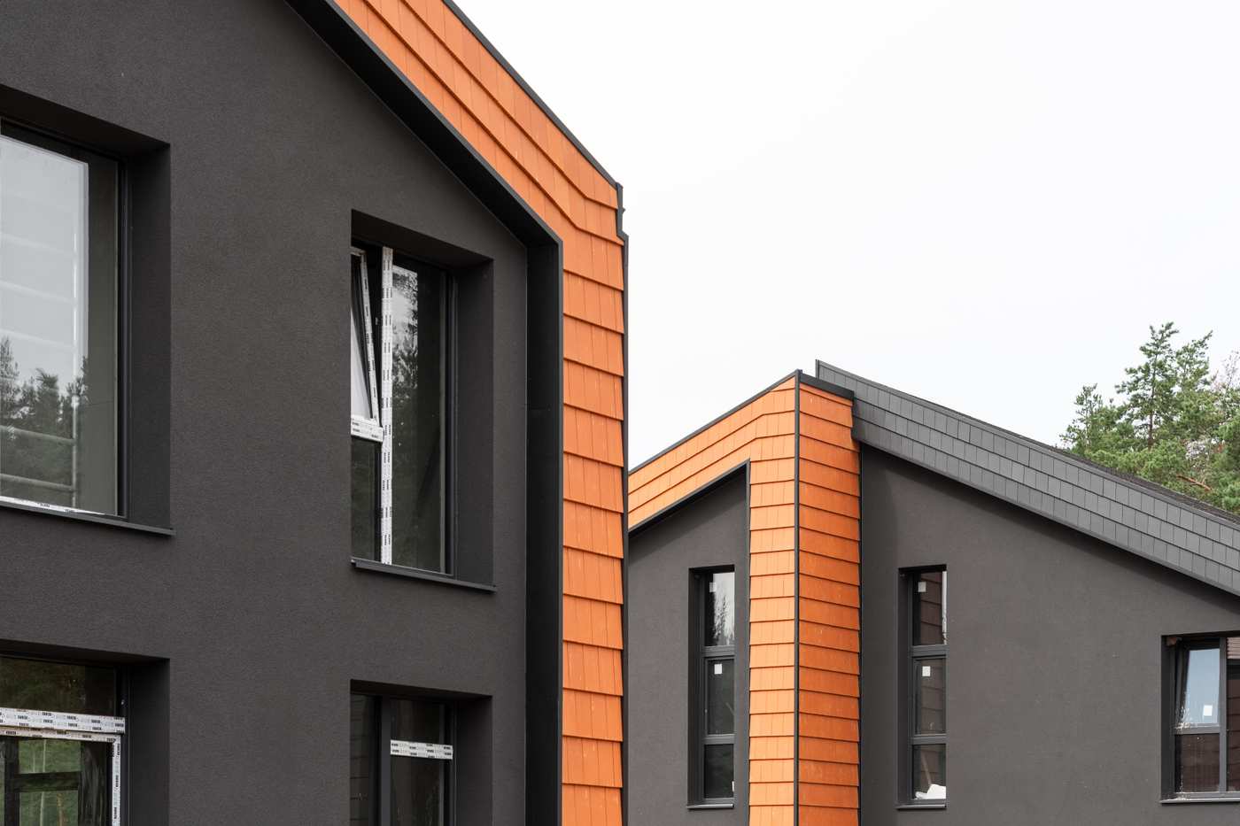 Forrest 08 (15 of 43)