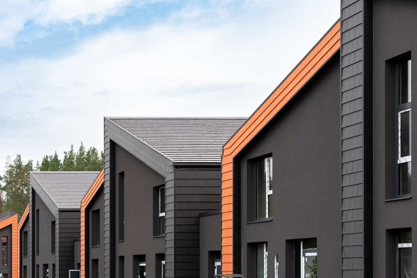 Forrest 08 (1 of 43)