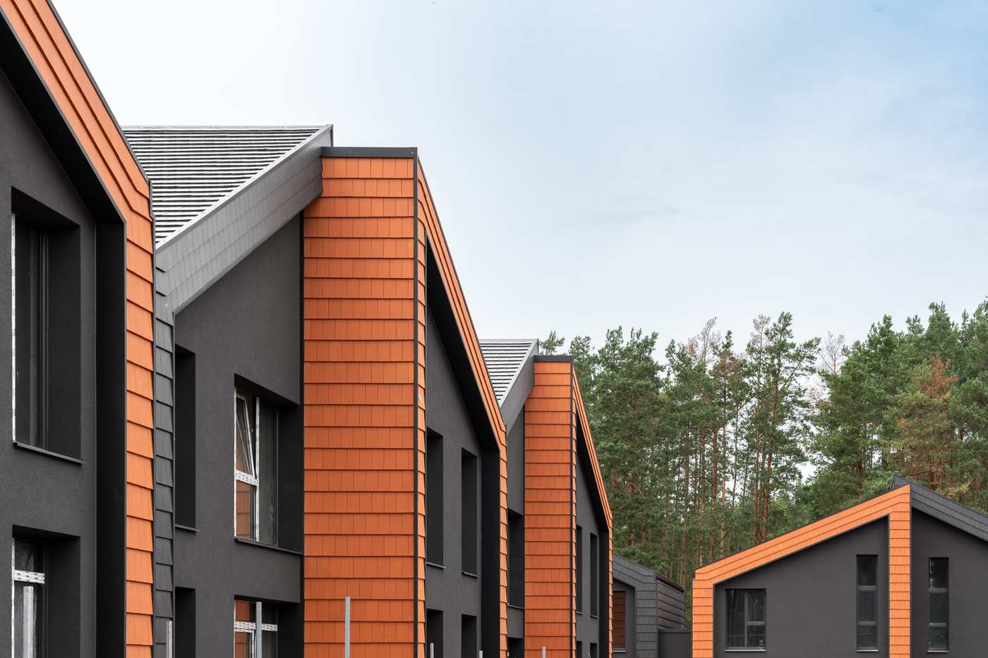 Forrest 08 (6 of 43)