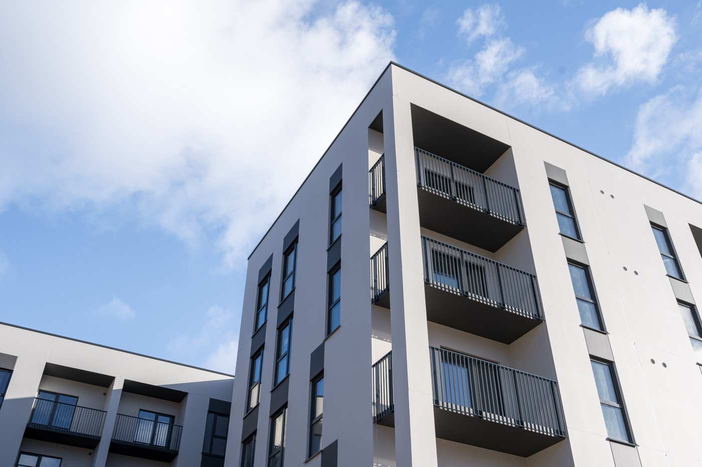 Pilaitė projektas (13 of 71)