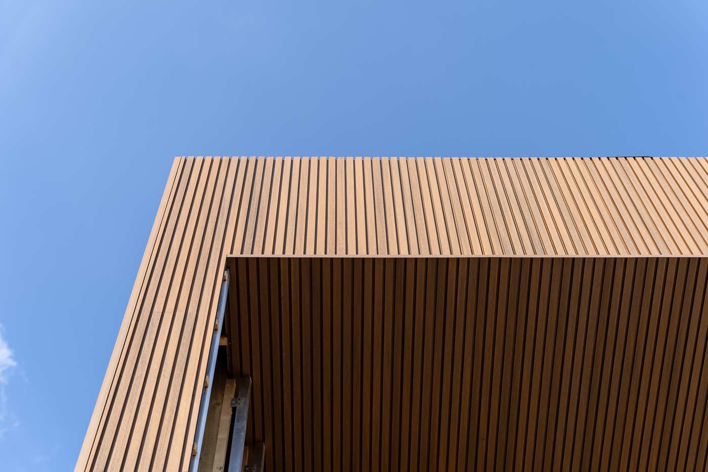 HALSO 03 24 (6 of 18)