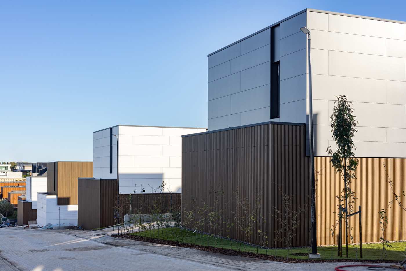 NUMO Danielius HALSO (19 of 20)