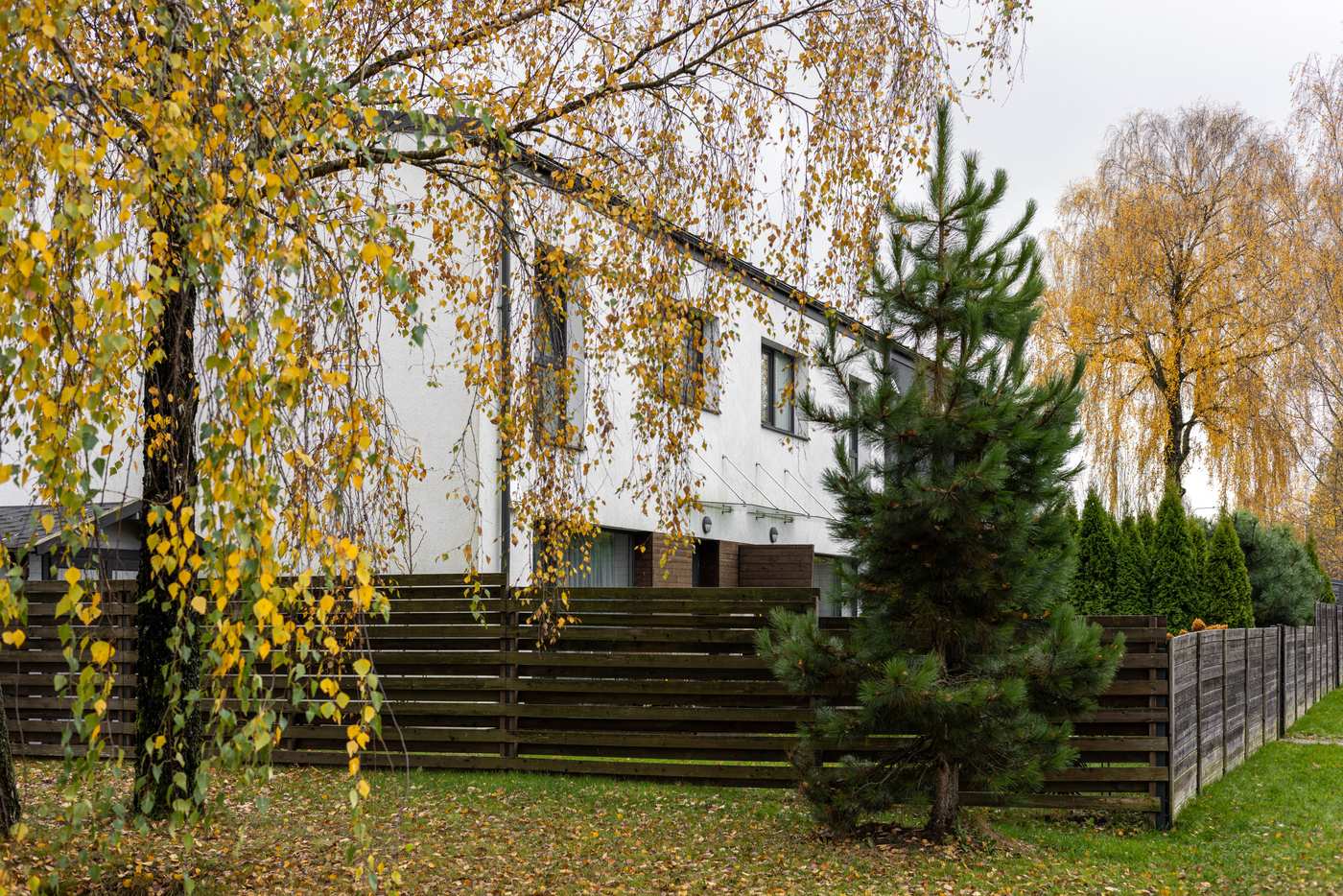 Kalnenai laukas (1 of 6)