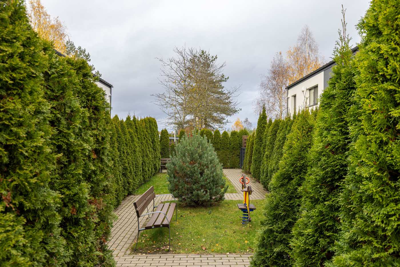 Kalnenai laukas (3 of 6)