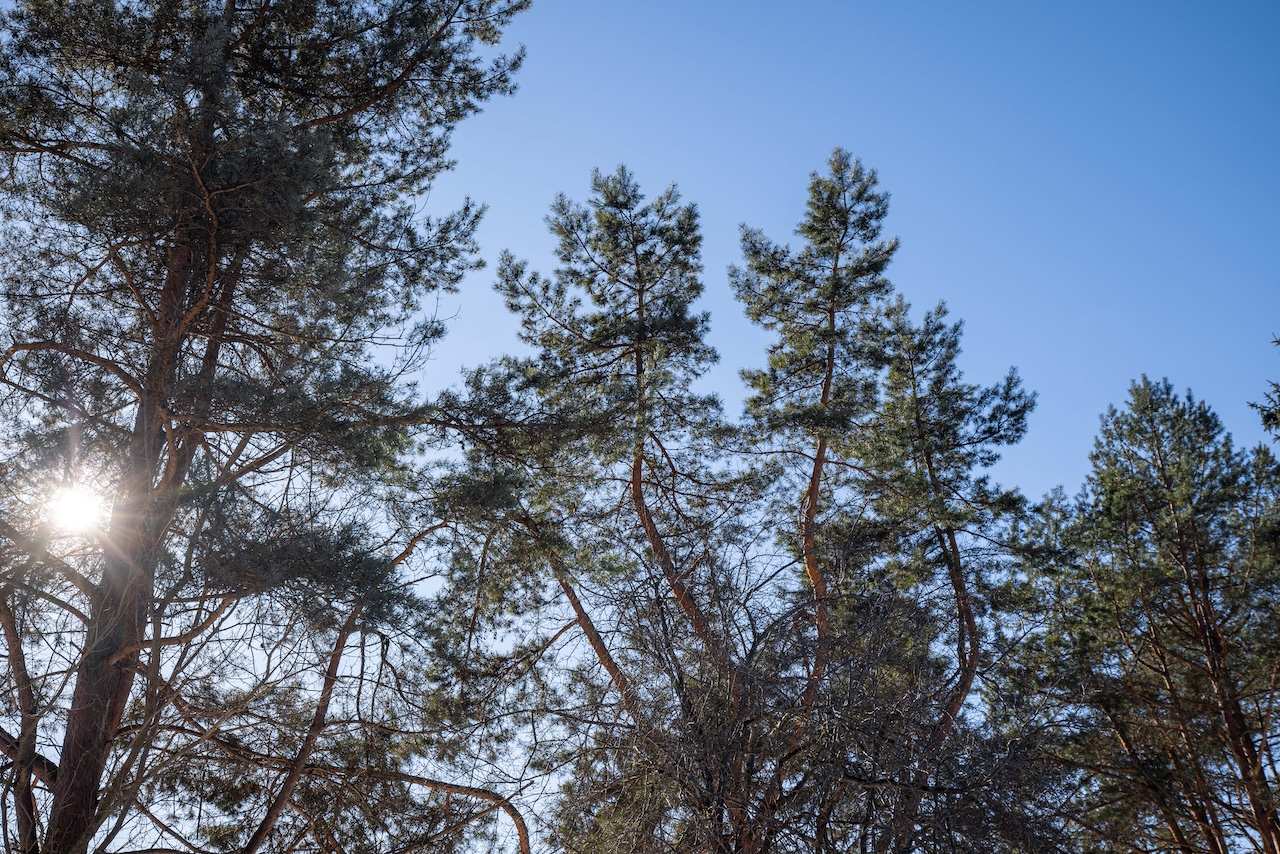 Zuvedru g 2C (26 of 29)