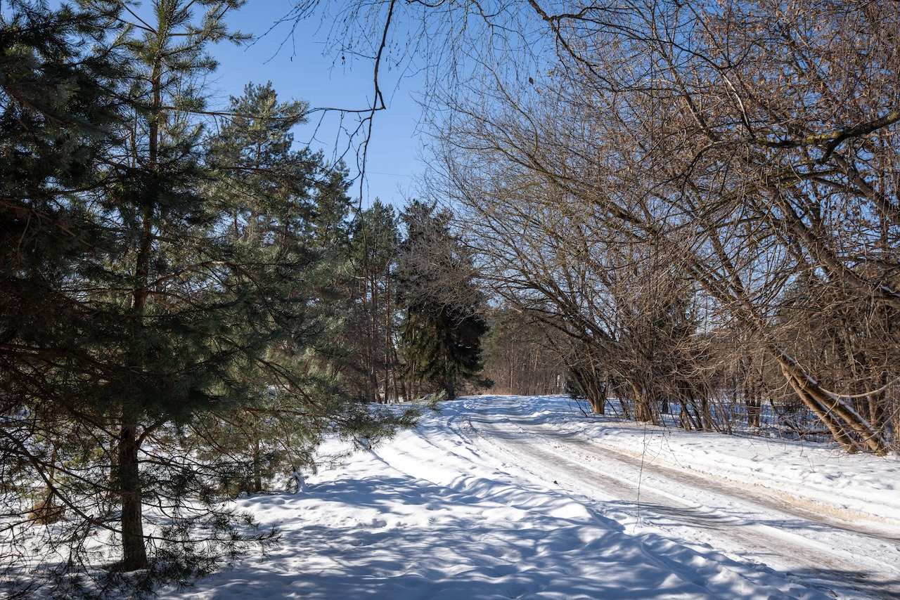 Zuvedru g 2C (25 of 29)