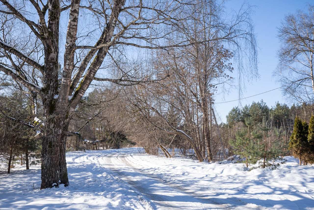 Zuvedru g 2C (24 of 29)